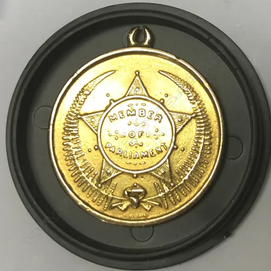 A gold NZR Free Pass for Eden electorate Member of Parliament