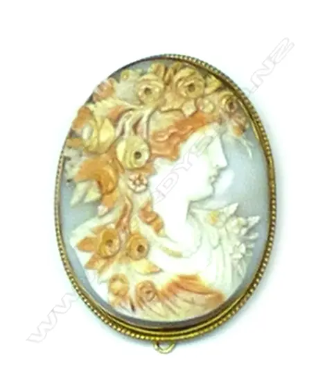 A c.1900 gold framed and exquisitely carved cameo portrait brooch Image 1++