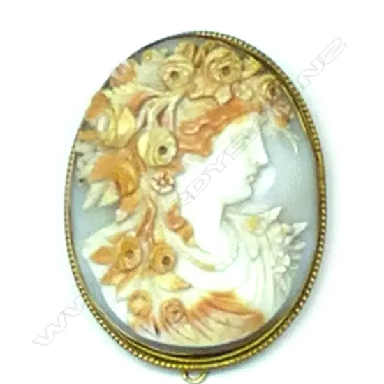 A c.1900 gold framed and exquisitely carved cameo portrait brooch