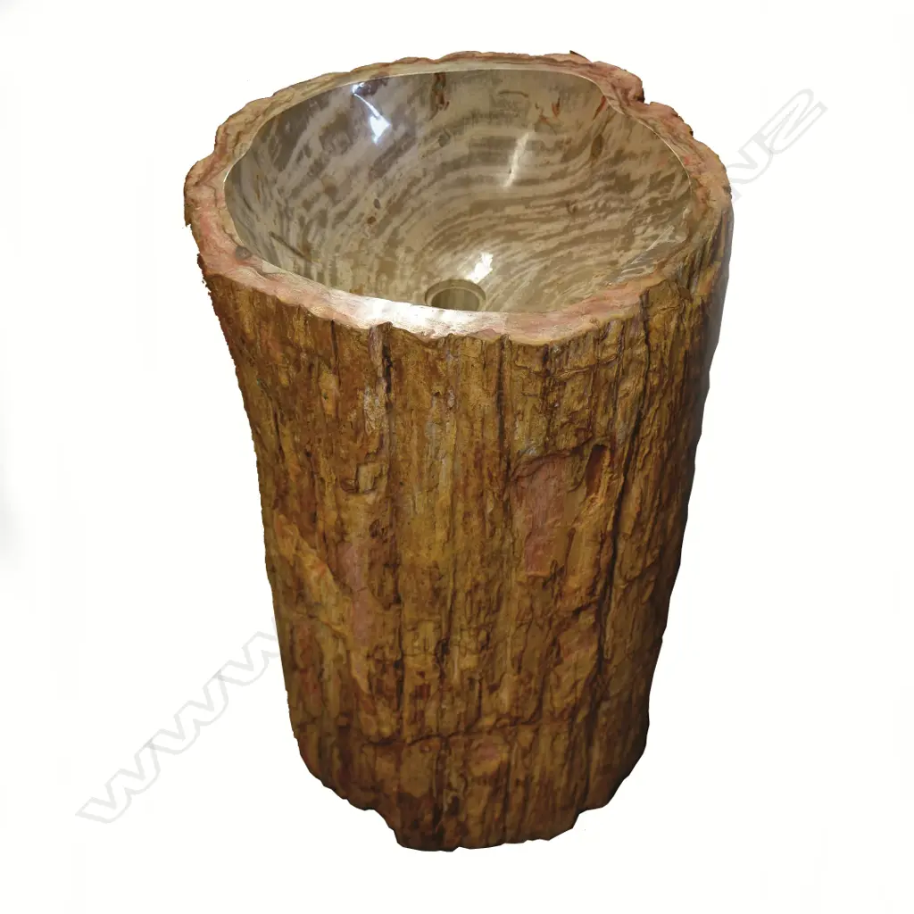 A tall and heavy petrified wood trunk section hand basin Image 1++
