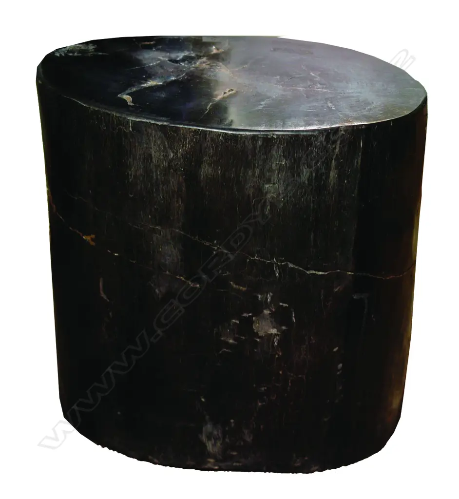 A heavy fossilised wood side table Image 1++