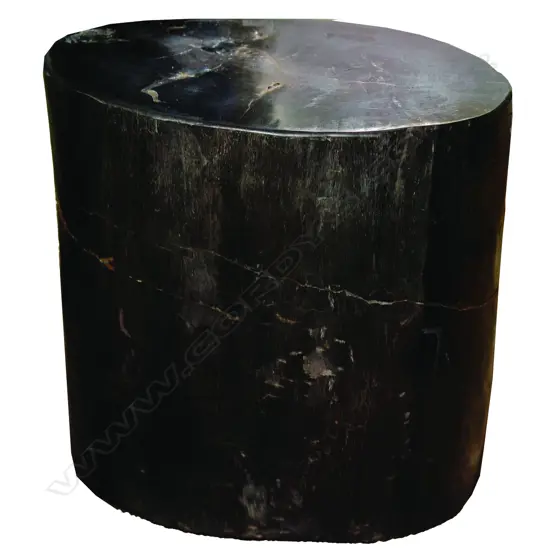 A heavy fossilised wood side table