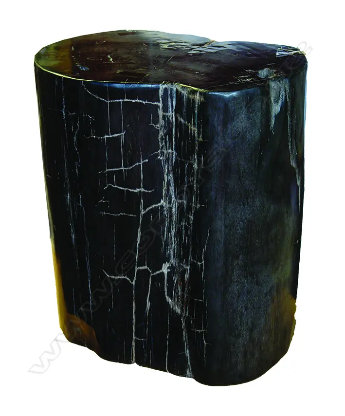 A heavy petrified wood side table Image 1++