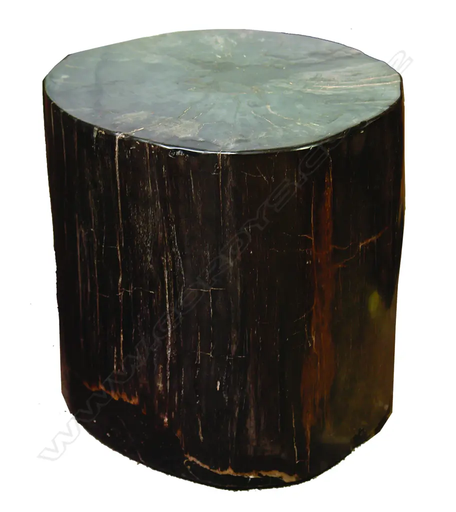 A heavy petrified wood side table Image 1++