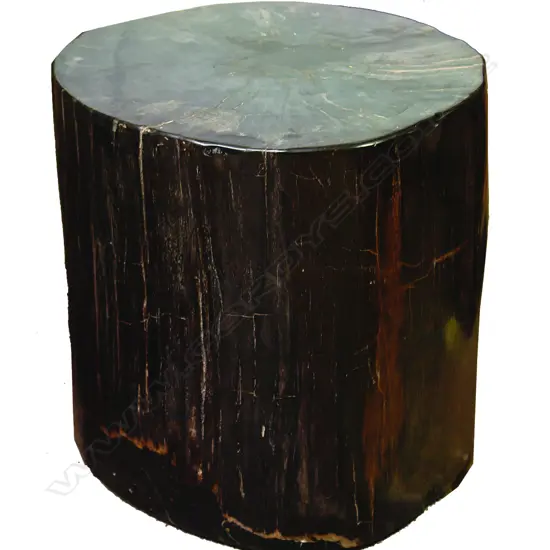 A heavy petrified wood side table