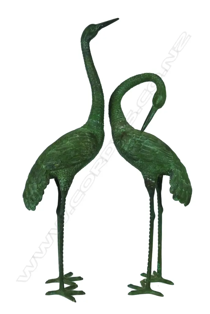 A pair of tall standing storks Image 1++