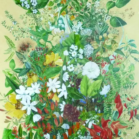 Edith Fenton M.B.E.(1862-1936)  'Native Flowers of New Zealand'