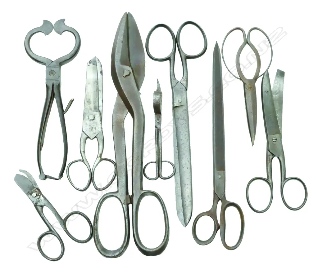 A collection of old scissors Image 1++