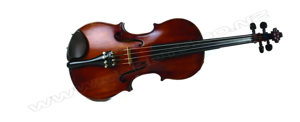 An early 1920s vintage violin Image 1++