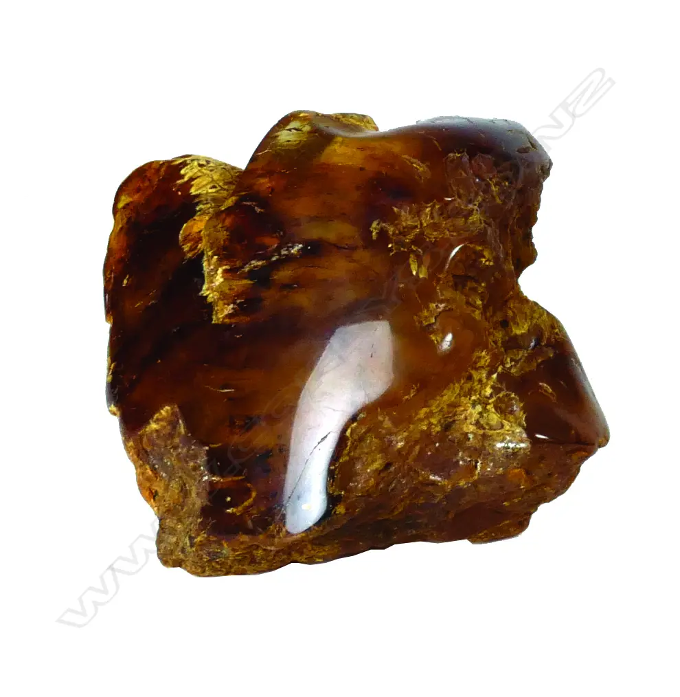 A kauri gum boulder Image 1++