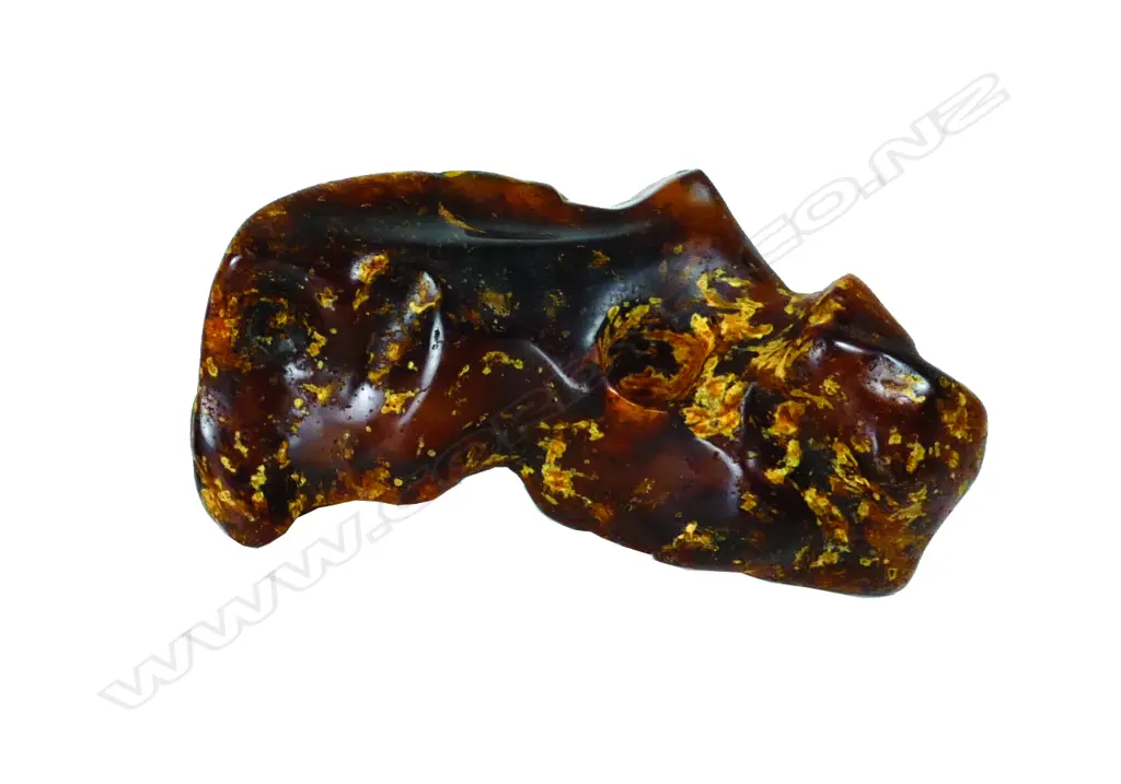 A small kauri gum boulder Image 1++