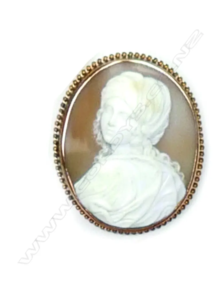 A c.1900 large 9ct. rose gold framed cameo brooch Image 1++