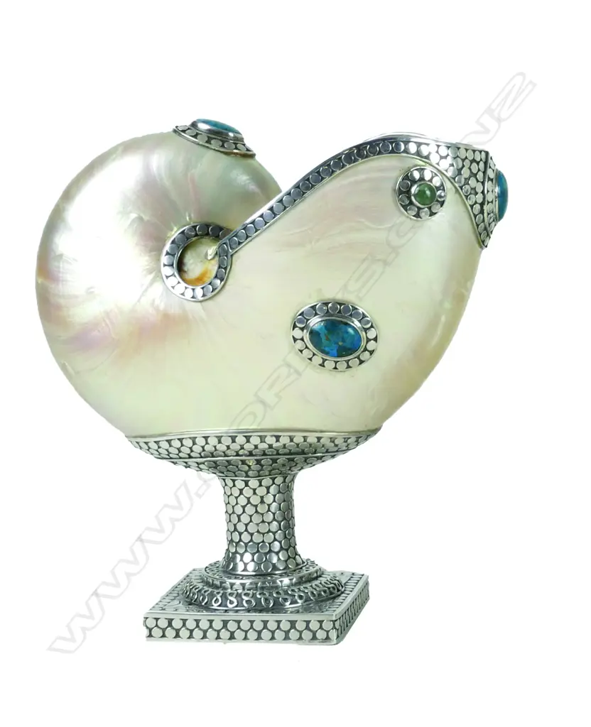 A nautilus polished shell raised on a silver (tested) plinth Image 1++