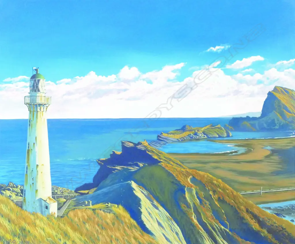 G. Follas 'Castlepoint Image 1++