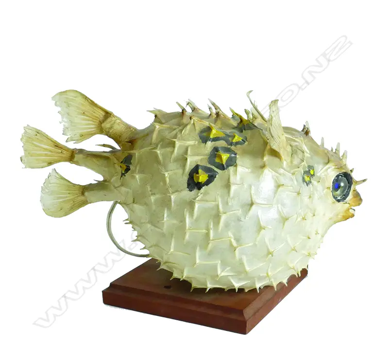 A vintage puffer fish lamp Image 1++