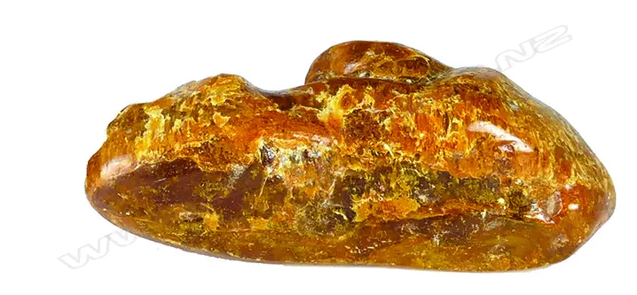 A small kauri gum boulder Image 1++