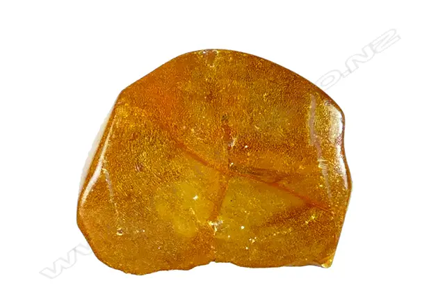 A small kauri gum boulder Image 1++