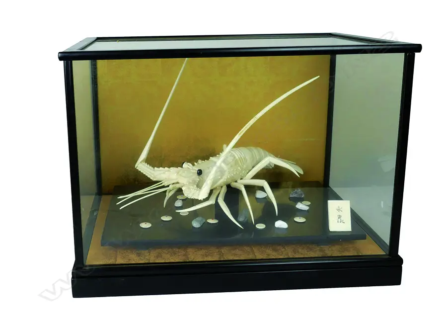 A  Japanese bone crayfish with carved detail Image 1++