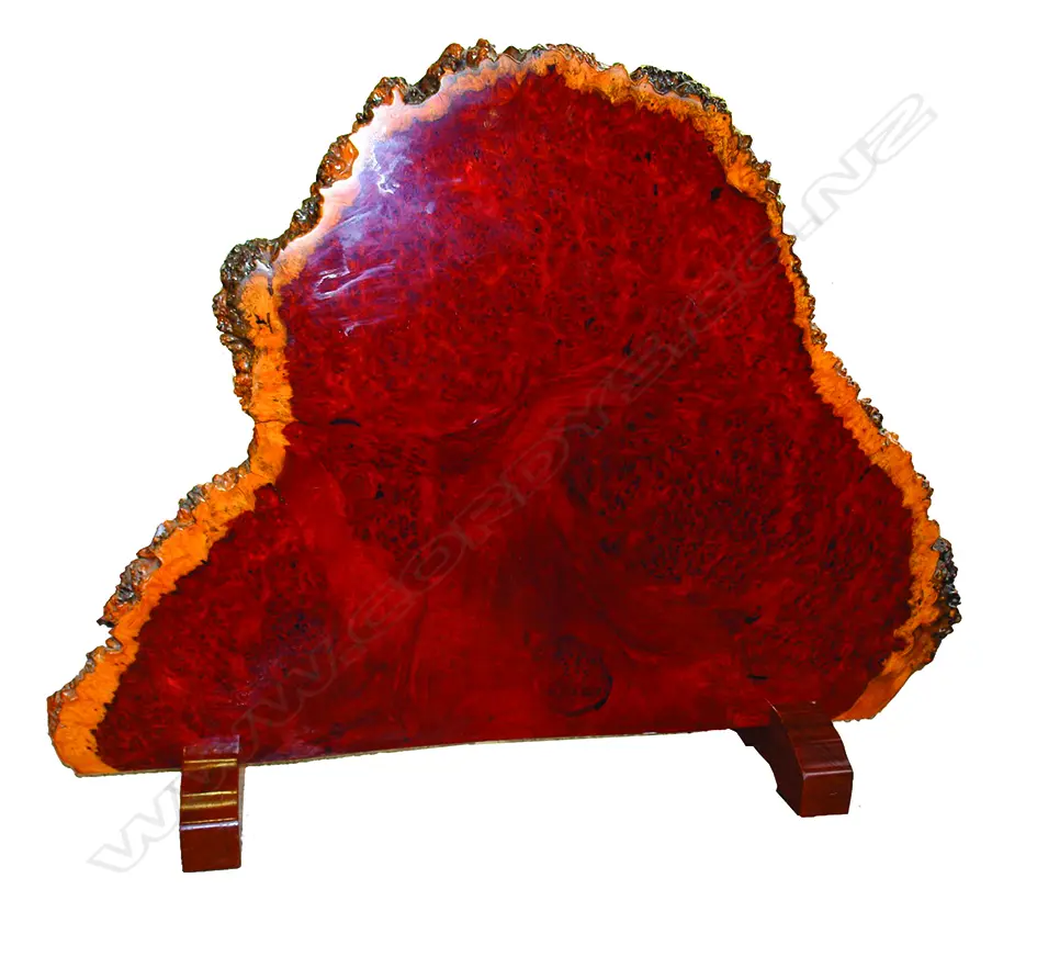A mid-20thC Burmese rosewood burr slab room stand Image 1++