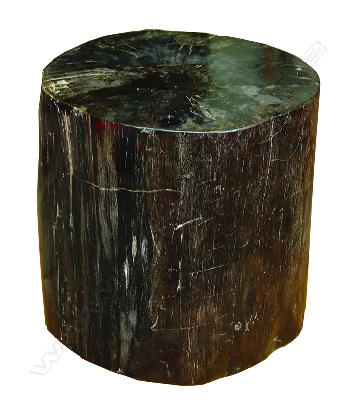 A heavy petrified wood side table Image 1++