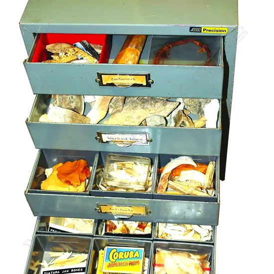 A large collection of found objects including moa bones