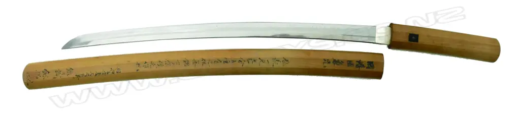 A Japanese Wakizashi blade in saya Image 1++