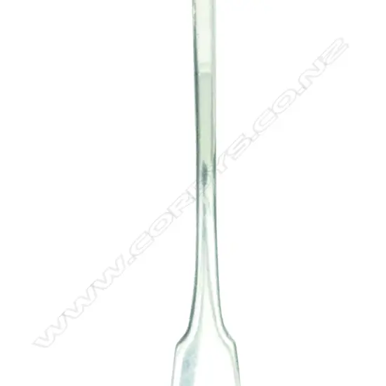 A rare provincial Scottish silver toddy ladle