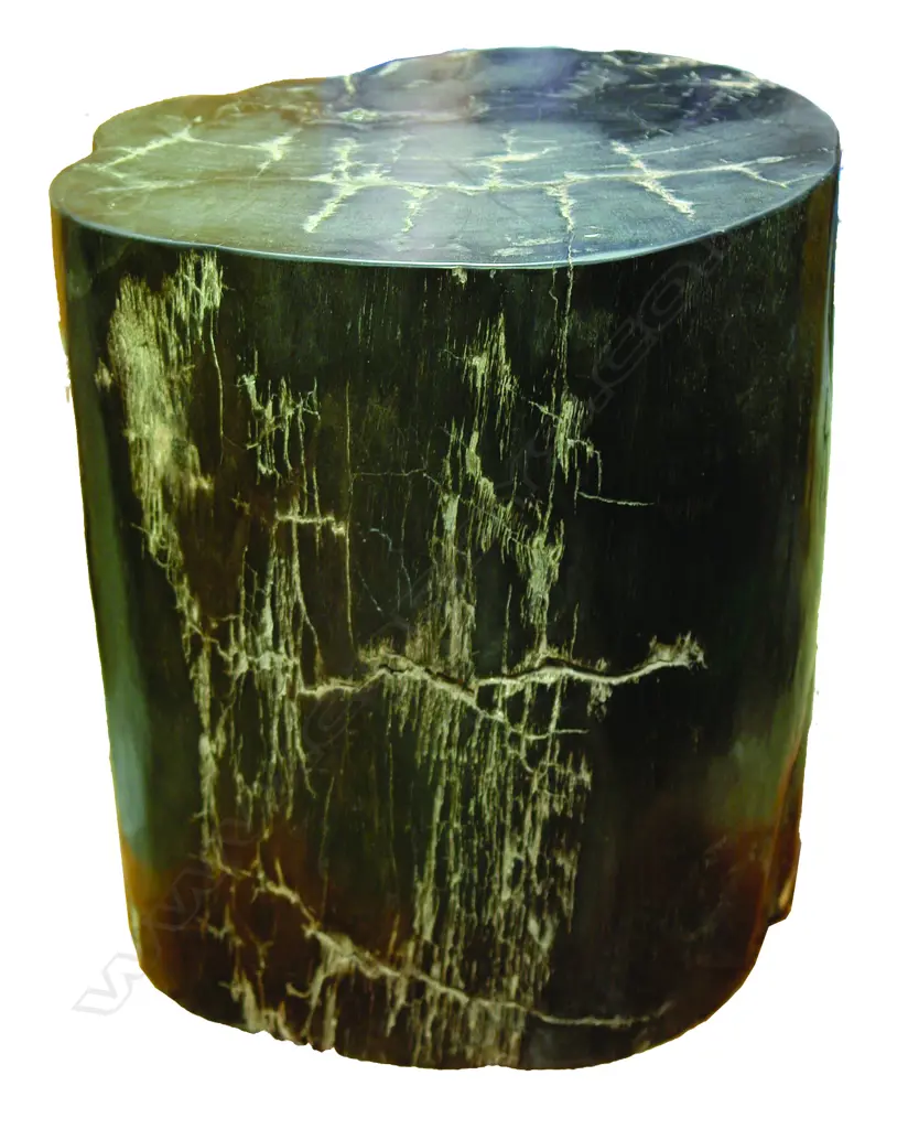 A heavy petrified wood side table Image 1++