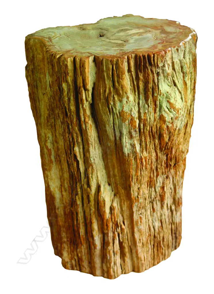 A petrified wood side table/stool Image 1++