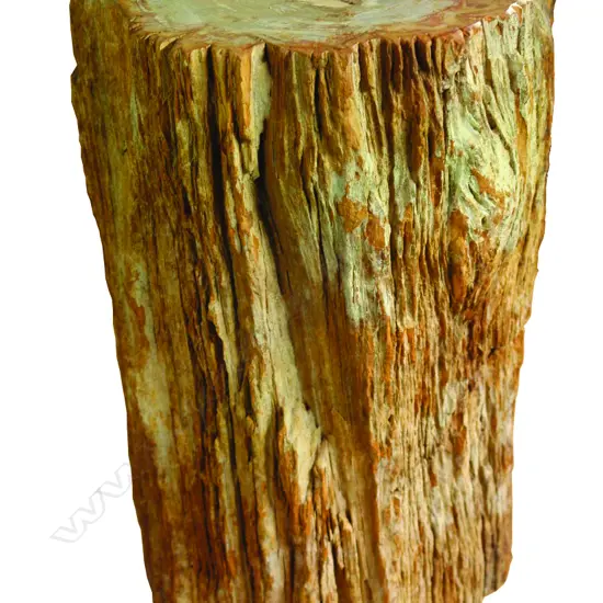 A petrified wood side table/stool