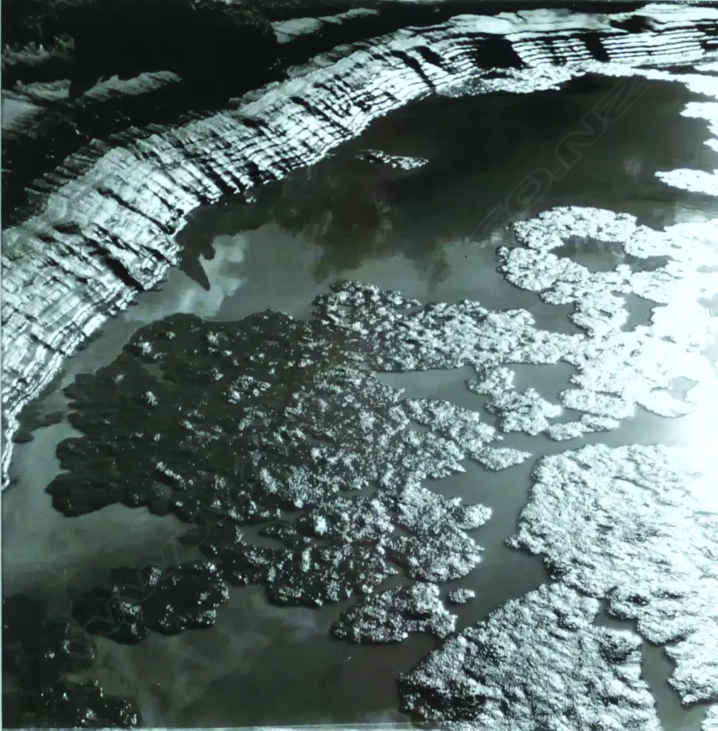 Theo Schoon Image 1++