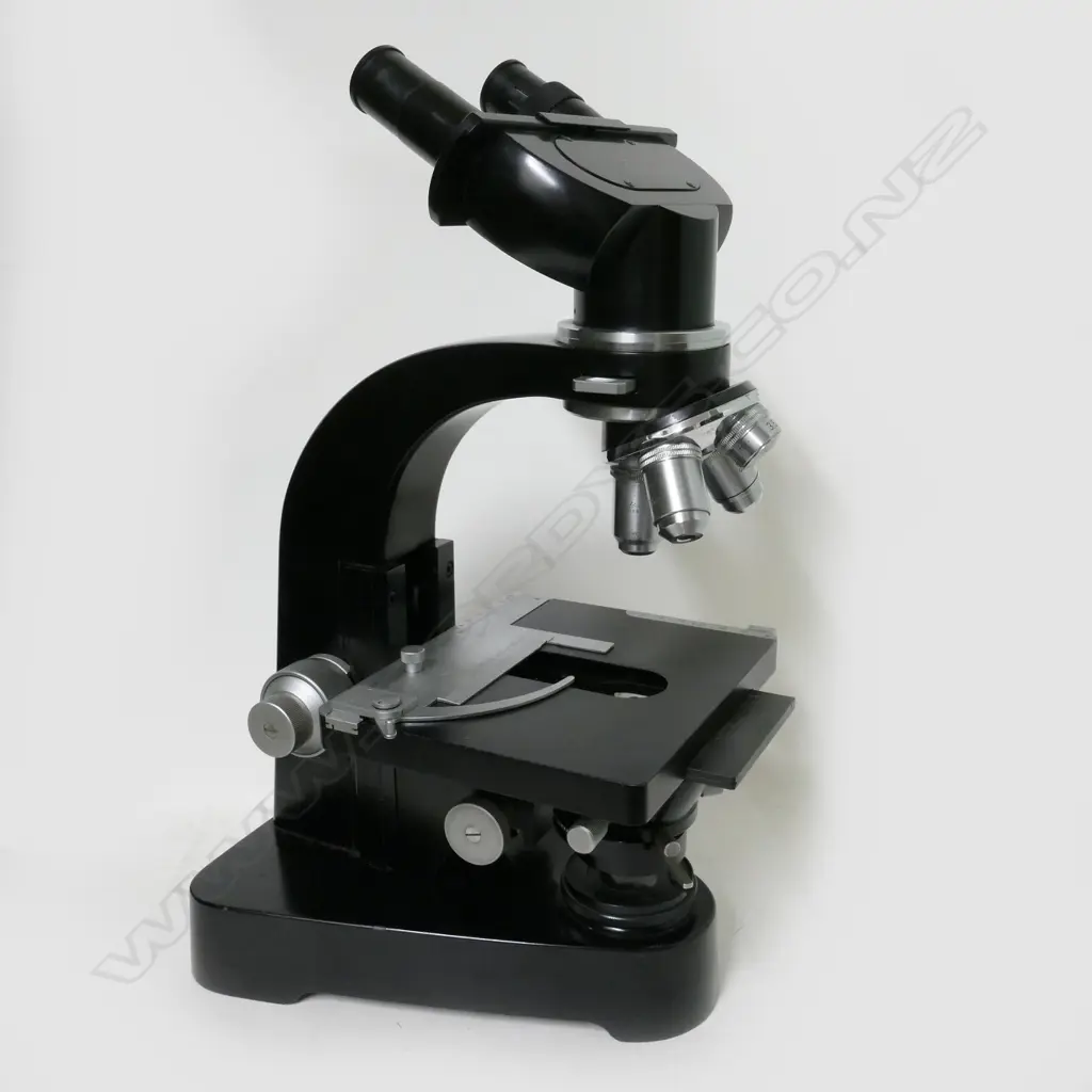 An Ernst Leitz Wetzlar binocular microscope Image 1++