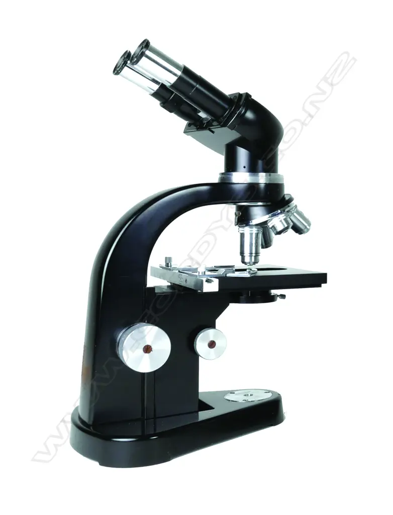 A vintage Ernst Leitz binocular microscope Image 1++