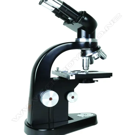 A vintage Ernst Leitz binocular microscope