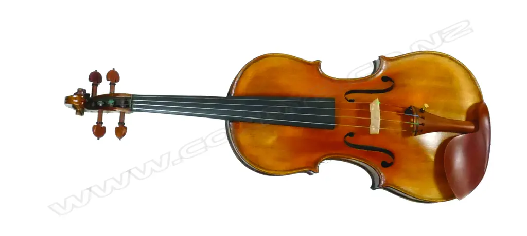 A 'D & Y Strings Violin Strad Model of Italy' violin Image 1++