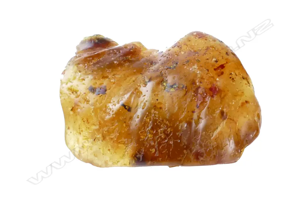 A piece of polished N.Z. kauri gum Image 1++