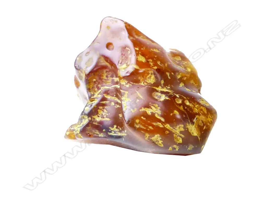 A piece of polished N.Z. kauri gum Image 1++