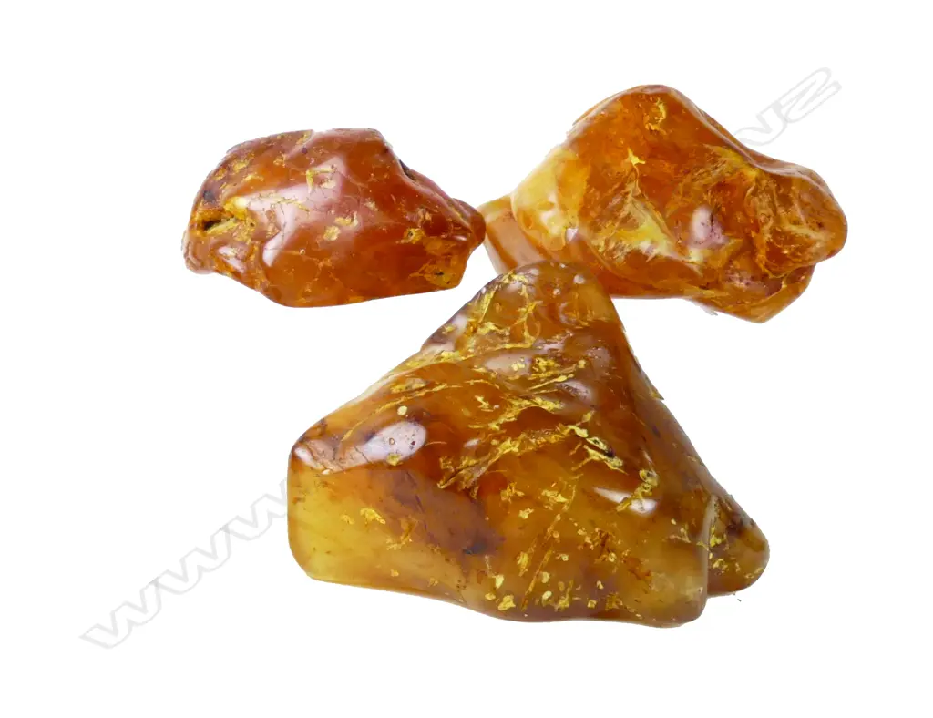 Three pieces of kauri gum Image 1++