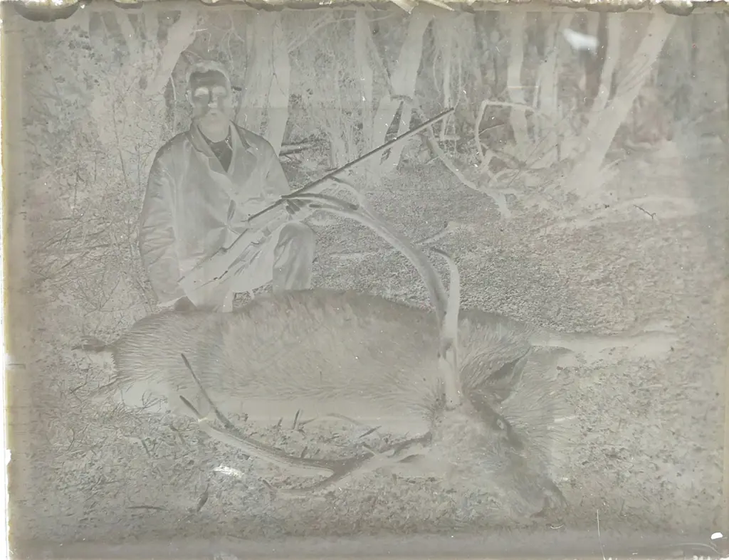 A box of 17 photographic glass plate negatives Image 1++