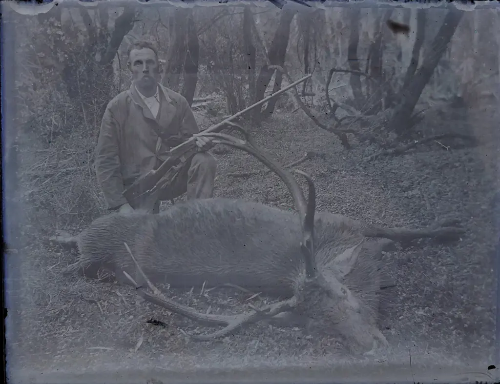 A box of 17 photographic glass plate negatives Image 1++