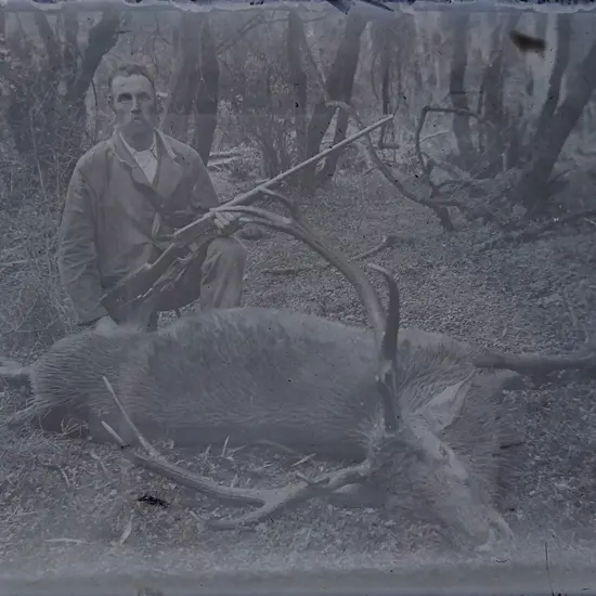 A box of 17 photographic glass plate negatives