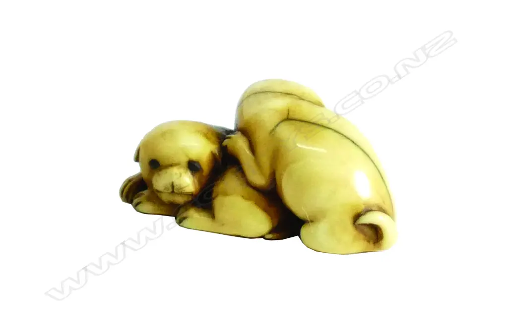 A 19thC Japanese carved ivory netsuke of two pups Image 1++