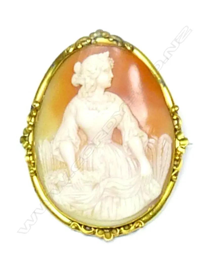A 19thC large 9ct. yellow gold framed cameo brooch Image 1++