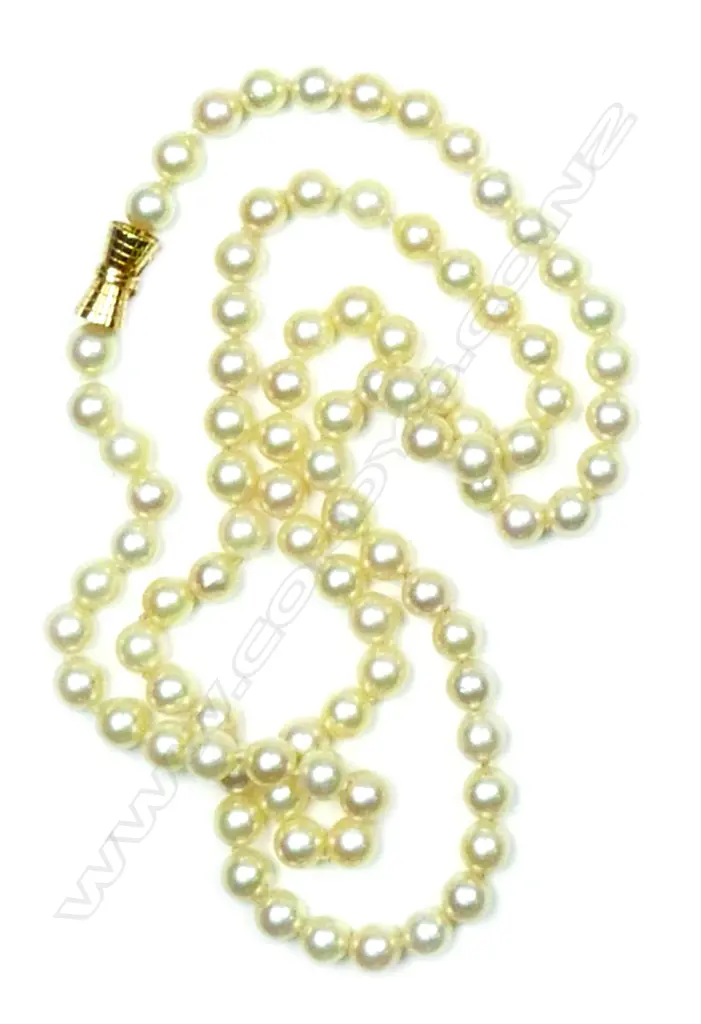 A long good cultured pearl necklace Image 1++