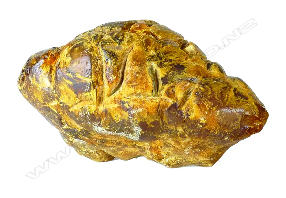 A kauri gum boulder Image 1++