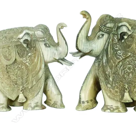 A pair of Indian ivory elephants