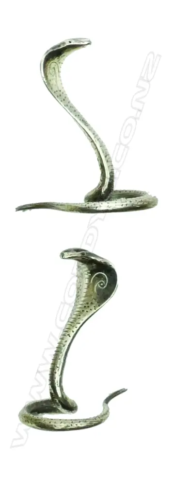 A pair of Indian silver cobra snake name place holders Image 1++