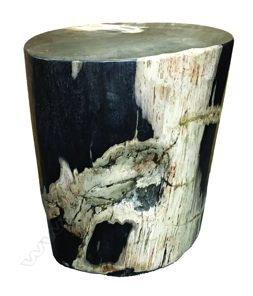 A heavy petrified wood side table Image 1++