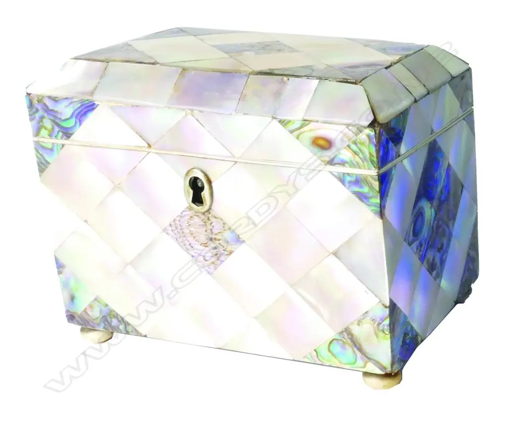 A Victorian mother-of-pearl and abalone tea caddy Image 1++