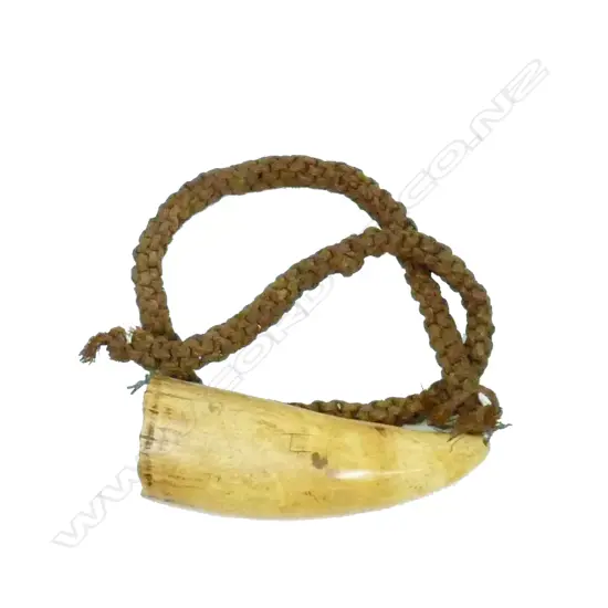 A 19thC Fijian tabua with cord